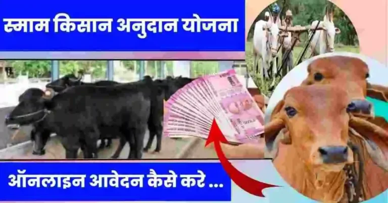 Smam Kisan Yojana