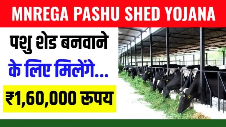 Mnrega Pashu Shed Yojana 